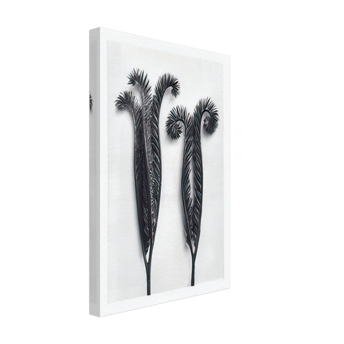 Art Forms in Nature 97 by Karl Blossfeldt, canvas, view 2
