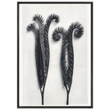 Art Forms in Nature 97 by Karl Blossfeldt, framed poster, view 3