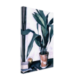Aspidistra by Samuel Peploe, canvas, view 2