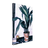 Aspidistra by Samuel Peploe, canvas