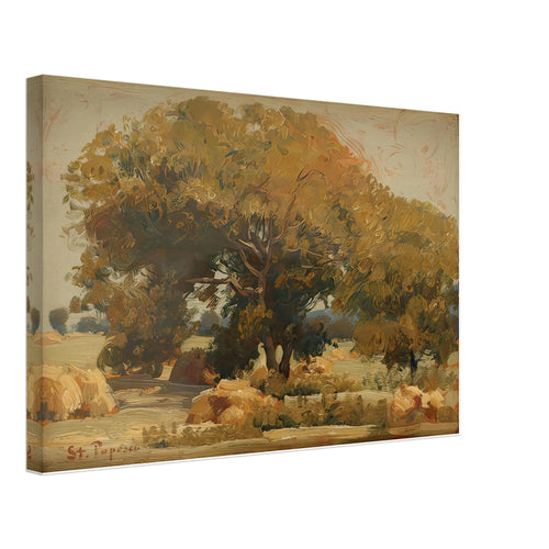 At the Shadow of Walnut Trees by Stefan Popescu, canvas