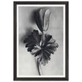 b5b417df-3376-4ea7-8201-2d3d680a7383