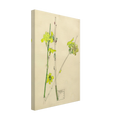 bb514277-b4a7-45c4-a14a-ca81fae62ec7