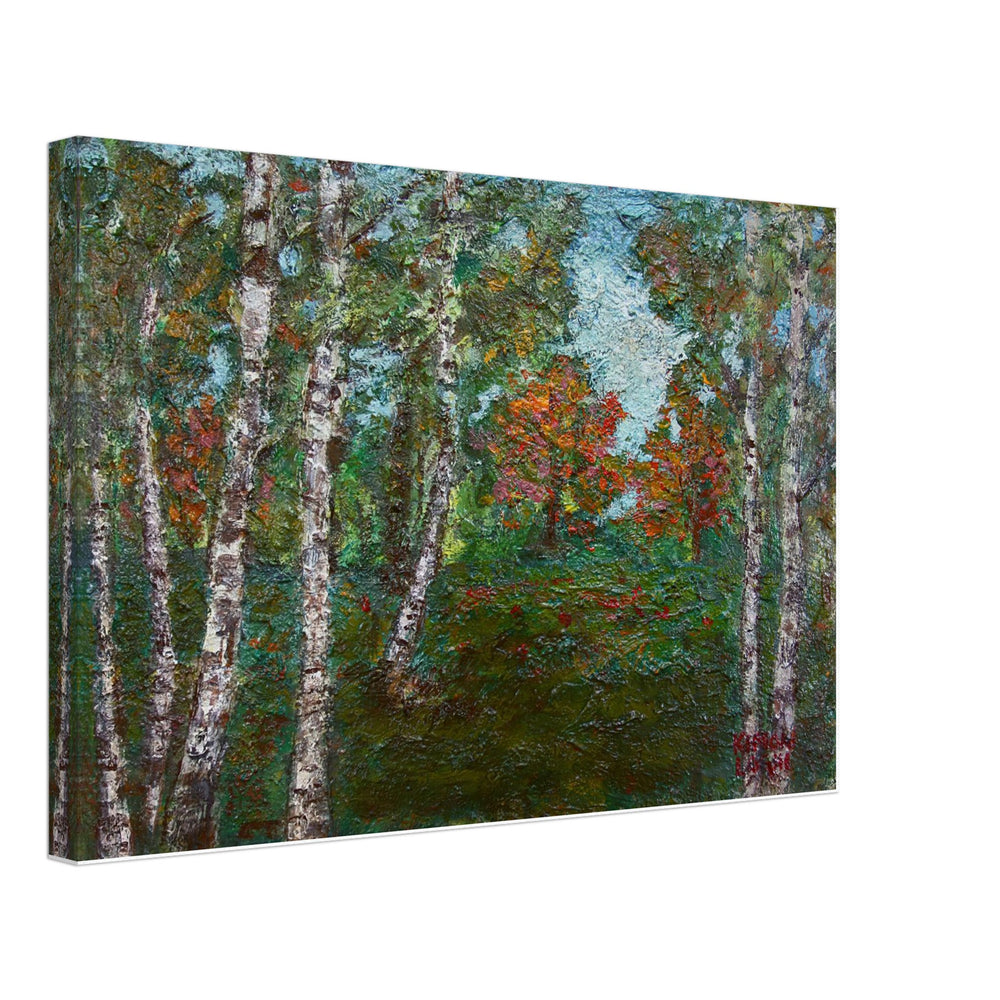 Birch Trees by Kimon Loghi, canvas