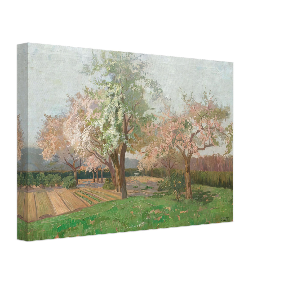 Blooming Cherry Trees by Kimon Loghi, canvas, view 2
