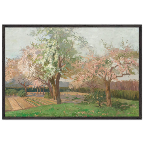 Blooming Cherry Trees by Kimon Loghi, framed poster