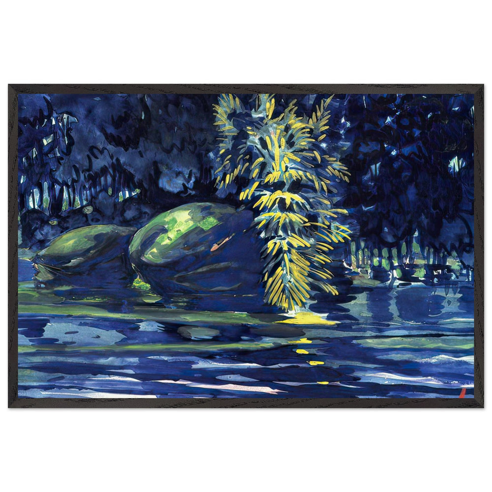 Boulders on a Riverbank by George Luks, framed poster