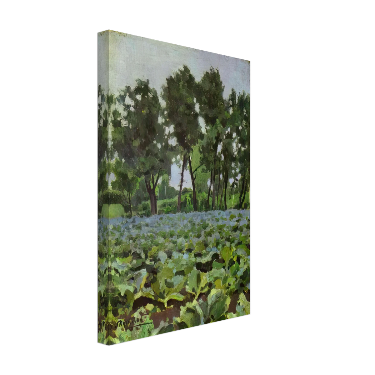 Cabbage Field with Willows by Victor Borisov-Musatov, canvas, view 2