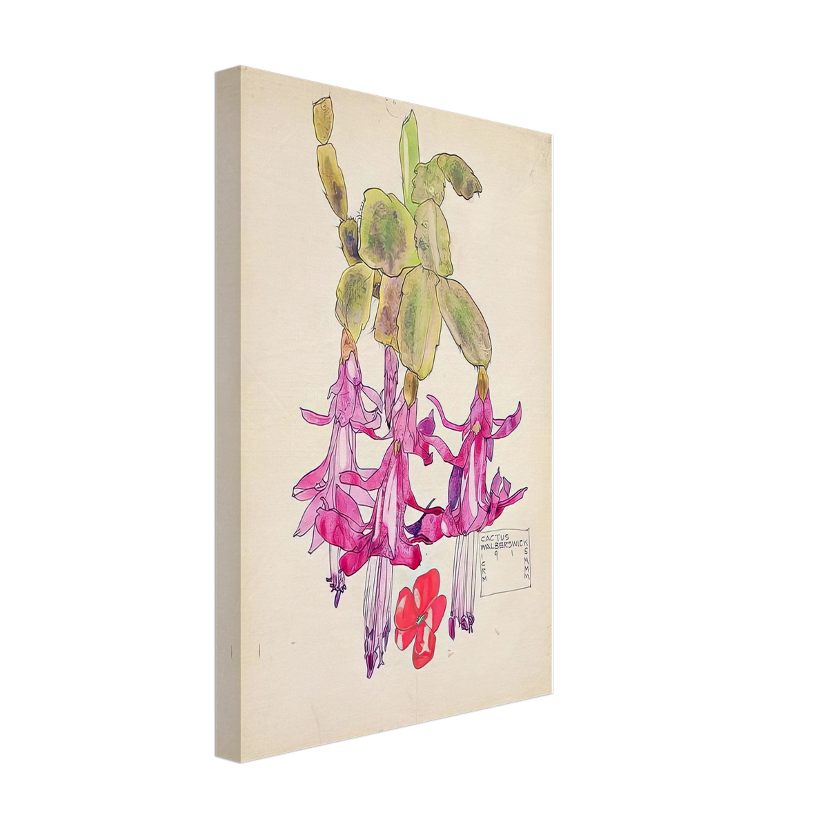 Cactus Flower by Charles Rennie Mackintosh, canvas, view 2