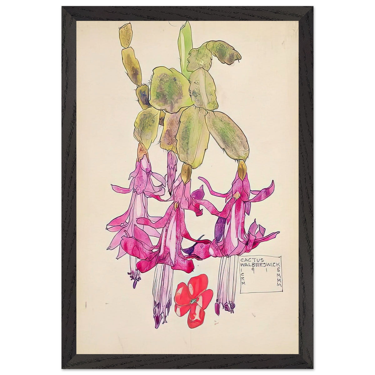 Cactus Flower by Charles Rennie Mackintosh, framed poster, view 2
