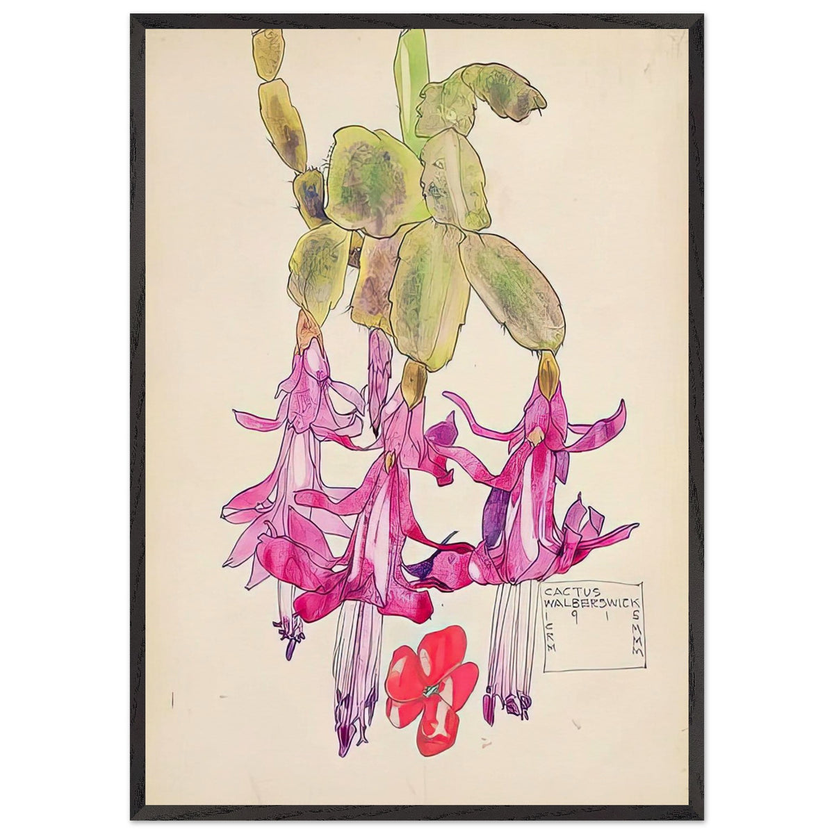 Cactus Flower by Charles Rennie Mackintosh, framed poster, view 3
