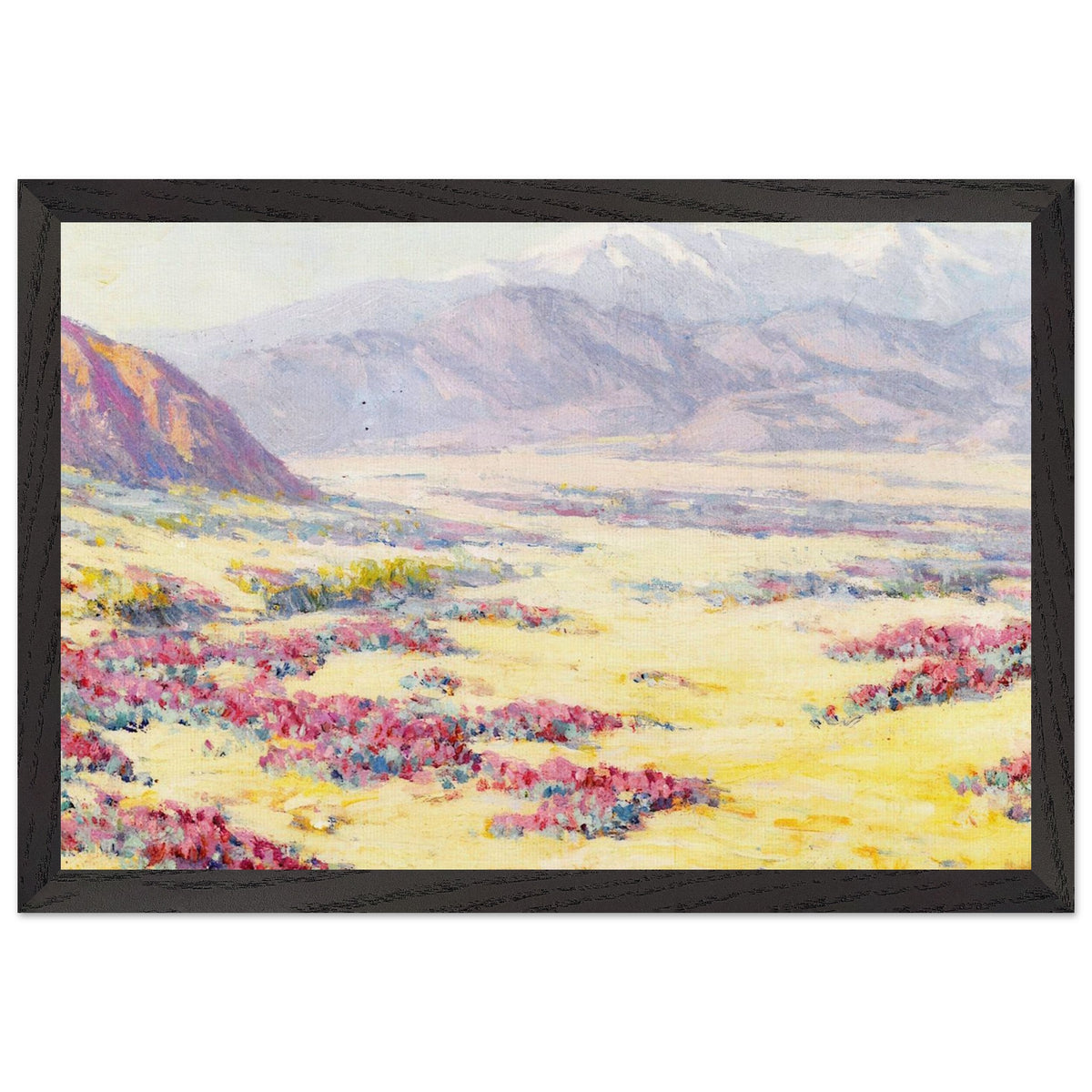 California Desert Wildflowers with Mountains Beyond by Benjamin Brown, framed poster, view 2