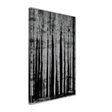Chicago 6 by Aaron Siskind, canvas