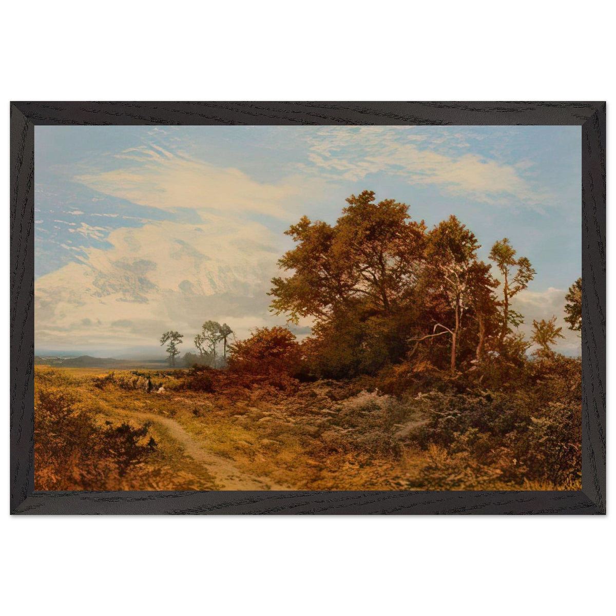 Collecting Bracken by Daniel Sherrin, framed poster, view 2