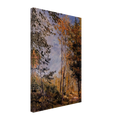 d10e9302-896b-4368-b4ba-71541938d39e