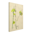 e755f913-27f4-4d7d-8d01-a7e0741bb8ee