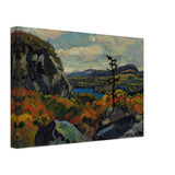 Early Autumn, Montreal River, Algoma by J. E. H. MacDonald, canvas, view 2