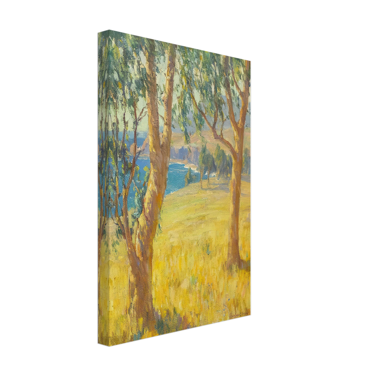Eucalypti near Arch Beach, California by Benjamin Brown, canvas, view 2