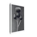 f3440047-3992-4ce2-8bf1-4cc023ac070b