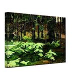 Ferns by Nicholas Roerich, canvas, view 2