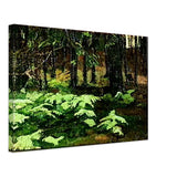 Ferns by Nicholas Roerich, canvas