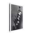 ff9ab055-e729-453a-942d-458549f2926e