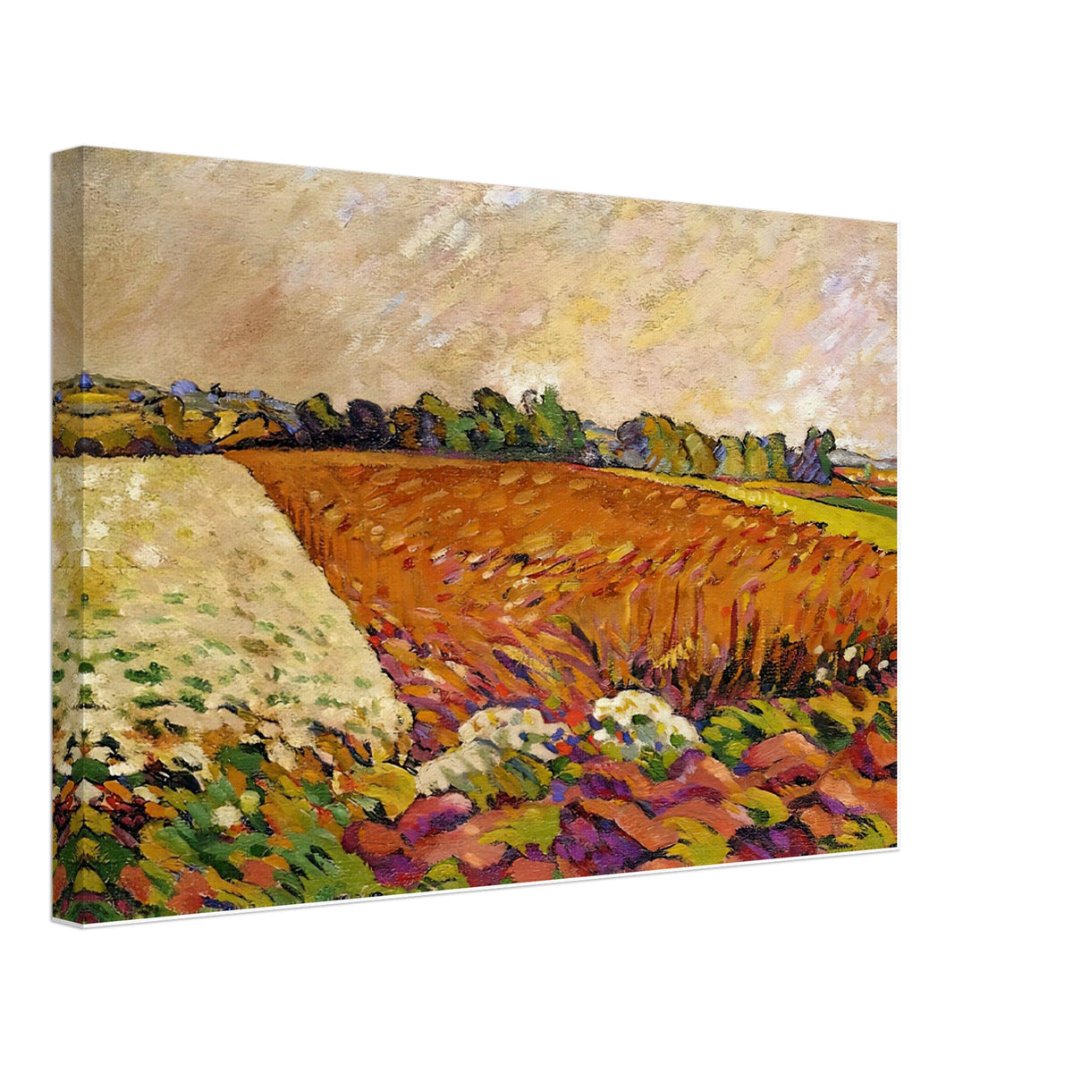 Field of Corn by Louis Valtat, canvas