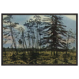 Finland with a Blue Sky by Anna Ostroumova-Lebedeva, framed poster