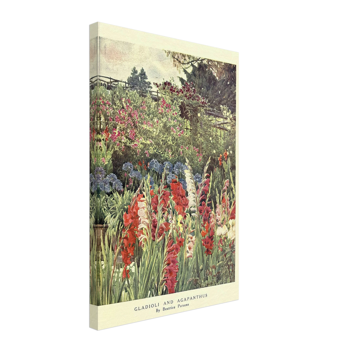 Gladioli and Agapanthus by Beatrice Emma Parsons, canvas
