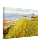 Grassy Dunes, Gloucester by John French Sloan, canvas, view 2