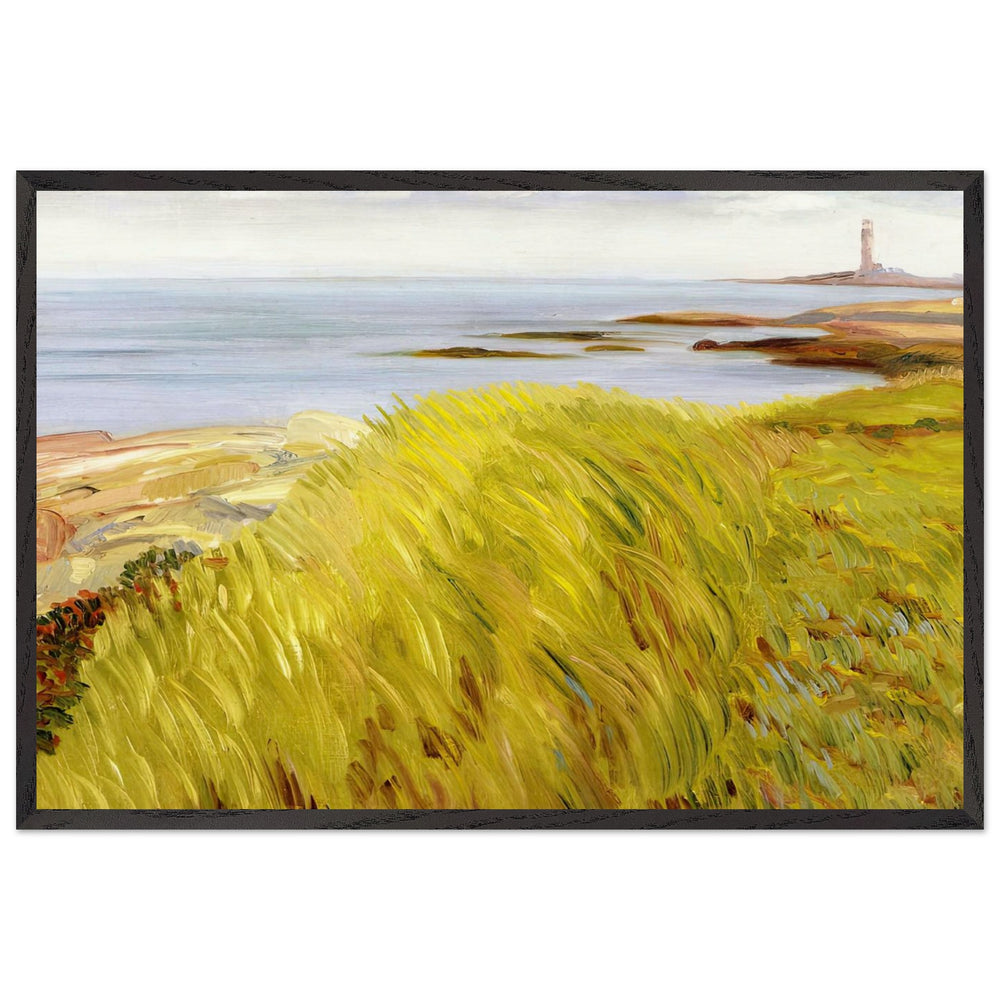 Grassy Dunes, Gloucester by John French Sloan, framed poster