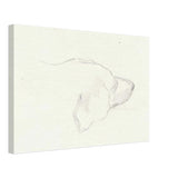 Head of a Dog by Nicholas Roerich, canvas