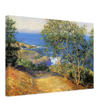 Indian Tobacco Trees, La Jolla by Guy Rose, canvas
