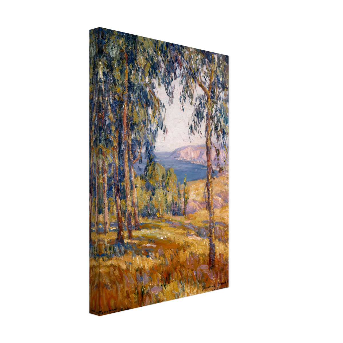 Laguna Vista by Benjamin Brown, canvas, view 2