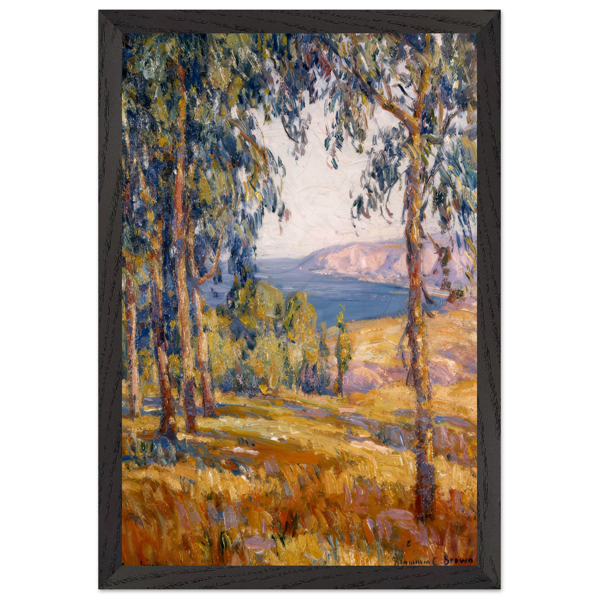 Laguna Vista by Benjamin Brown, framed poster, view 2