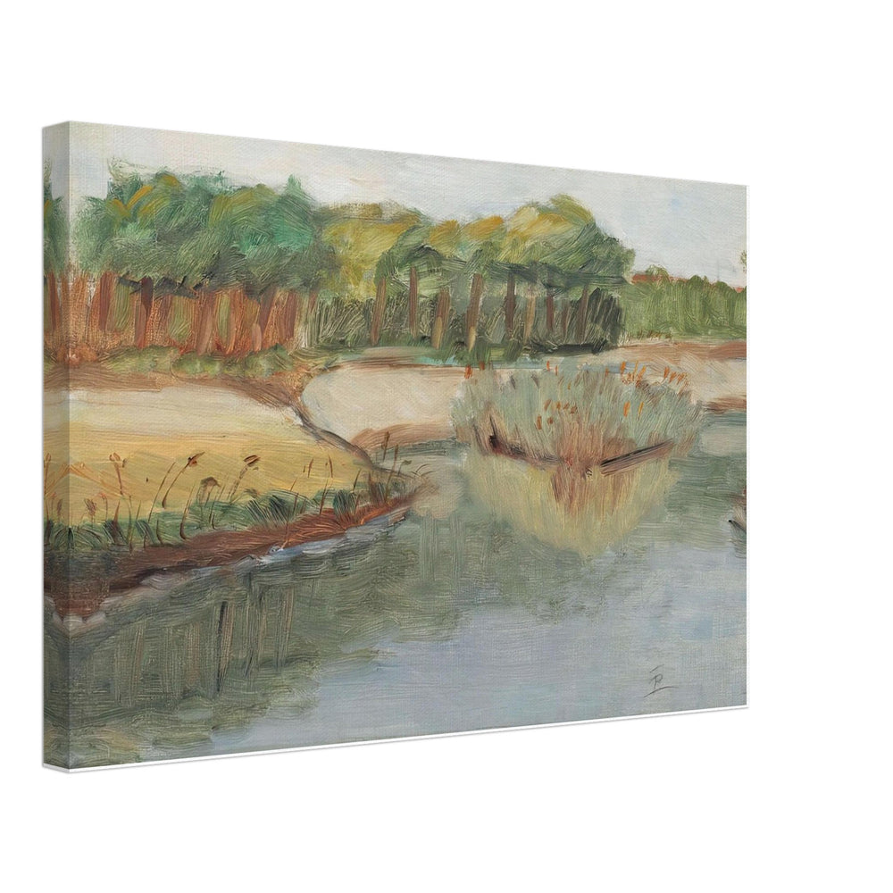 Lakeshore by Theodor Pallady, canvas