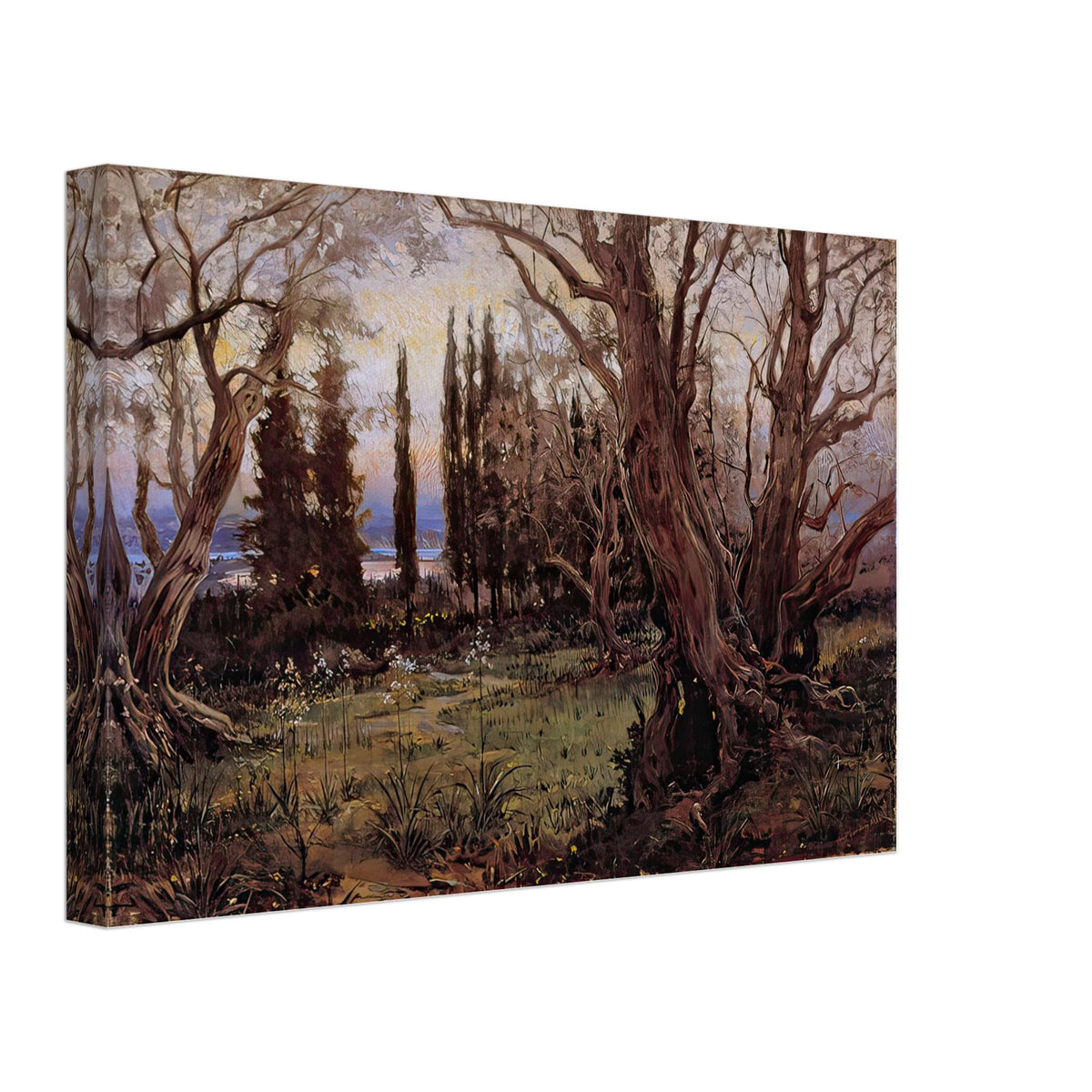 Olivos Y Cipreses by José Garnelo, canvas, view 2
