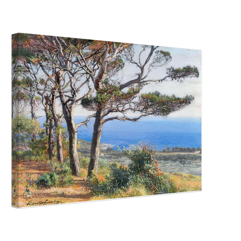 Pines by the Sea by Raffaello Gambogi, canvas