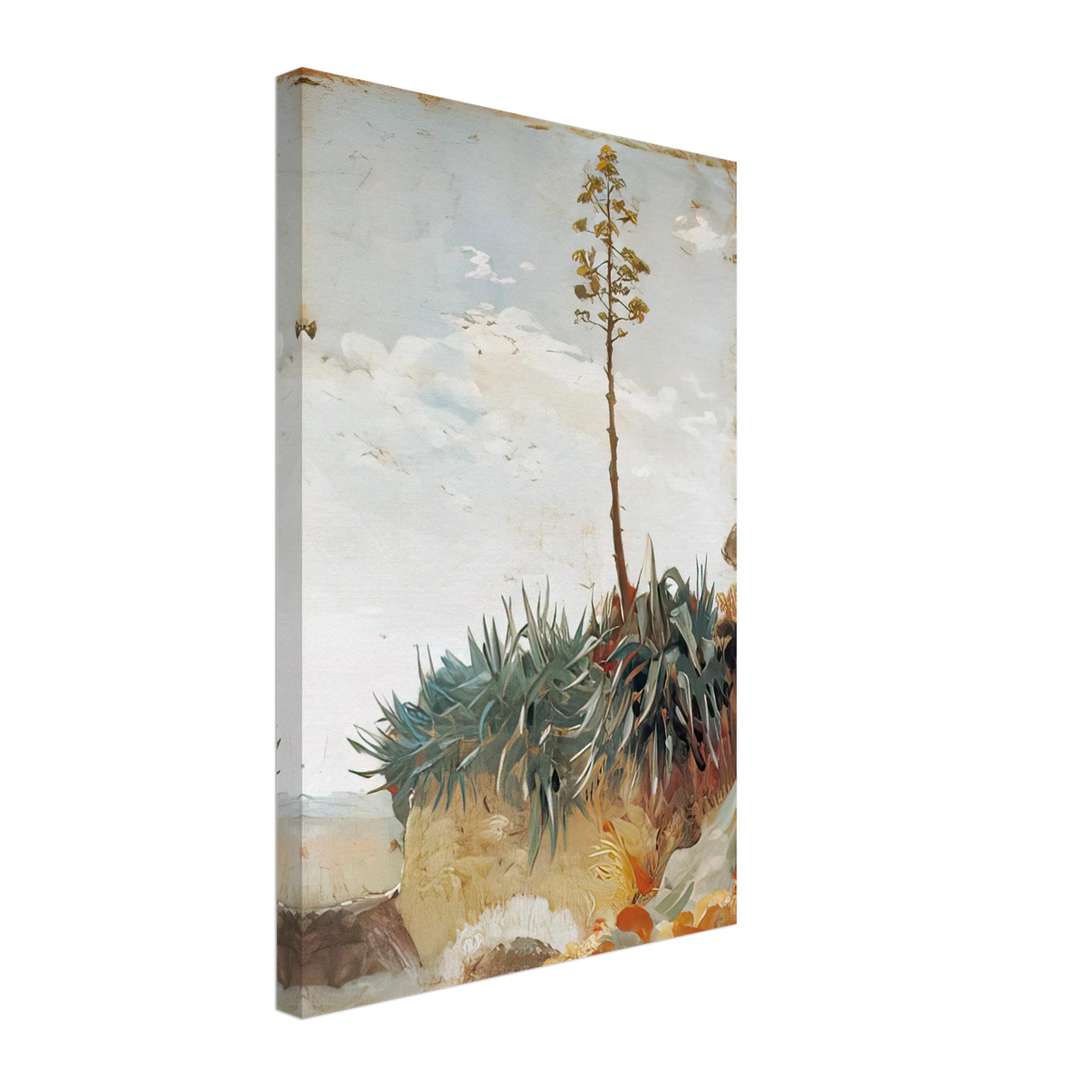 Pitas by José Garnelo, canvas