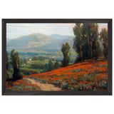 Poppies and Eucalyptus by Benjamin Brown, framed poster, view 2