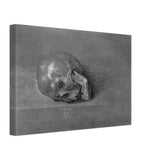 Skull by Albrecht Durer, canvas, view 2
