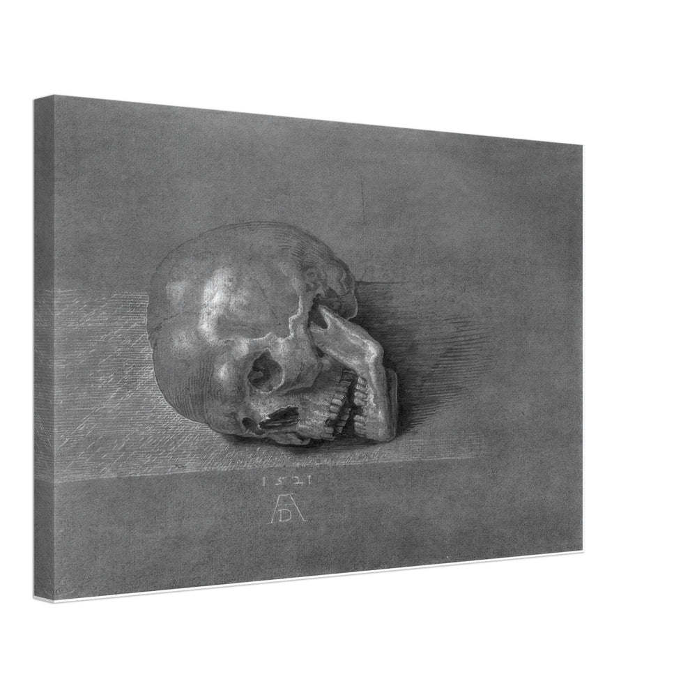 Skull by Albrecht Durer, canvas