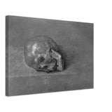 Skull by Albrecht Durer, canvas