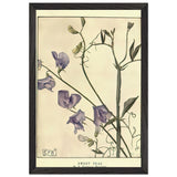 Sweet Peas by Eleanor Fortescue-Brickdale, framed poster, view 2