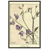 Sweet Peas by Eleanor Fortescue-Brickdale, framed poster