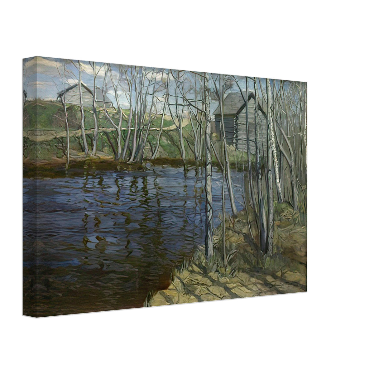 Быстрая Речка (Swift River) by Vitold Byalynitsky-Birulya, canvas, view 2