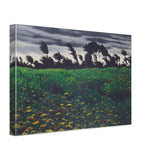 The Blossoming Field by Felix Vallotton, canvas, view 2