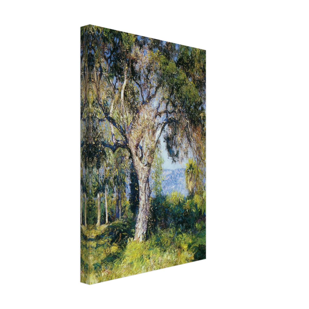 The Oak by Guy Rose, canvas, view 2