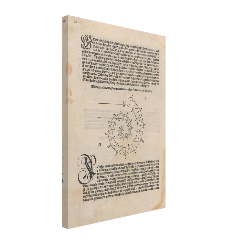 Treatise on Measurement by Albrecht Durer, canvas