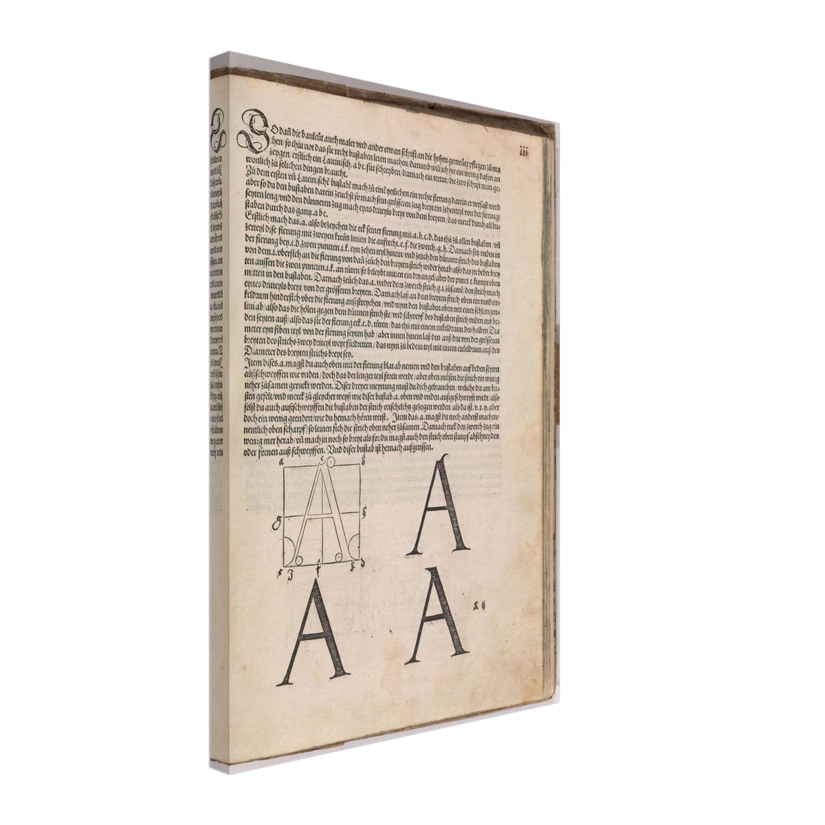 Treatise on Measurement by Albrecht Durer, canvas
